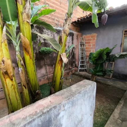 Imagem Casa 2/4 Com Barracao No Santa Luzia