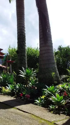 Imagem VENDO ESTA MARAVILHOSA PROPRIEDADE EM NOVA FRIBURGO RJ.