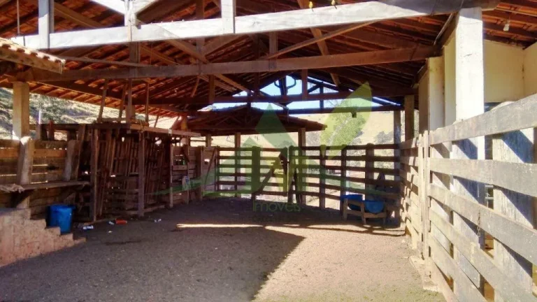 Imagem FAZENDA GADO NELORE COM 100 ALQUEIRES em Cambui MG