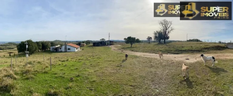 Imagem Fazenda para Venda no 2º Distrito de Piratini-RS