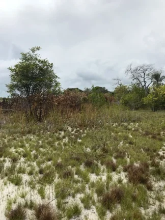 Imagem Terreno com 650.000m² à venda no bairro Velha Boipeba, em Cairu-BA