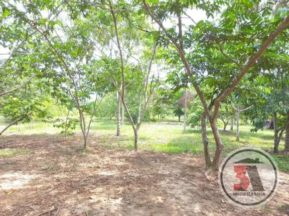 Imagem Chácara 2 hectares 25km de Porto Velho