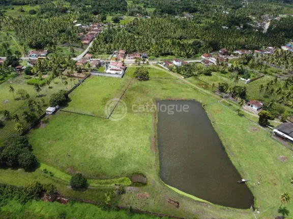 Imagem ÁREA Á VENDA EM NISIA FLORESTA