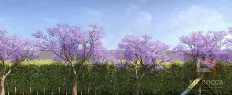 Imagem Apartamento 2 dormitórios, Patteo São Bernardo - São Bernardo do Campo