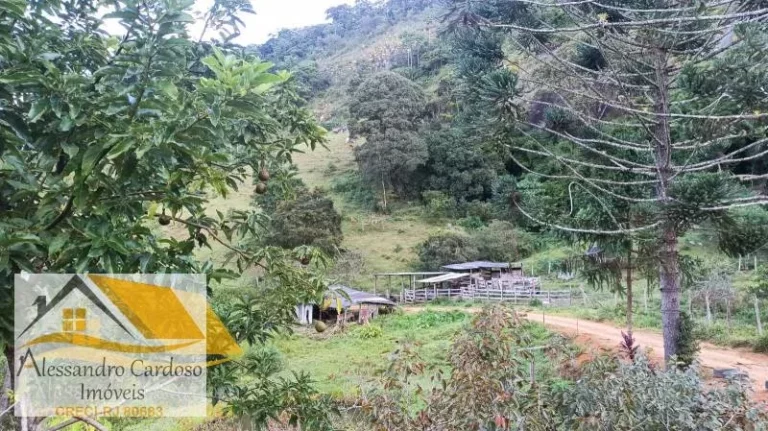 Imagem Vendo chácara com 140 mil mts² em Riograndina