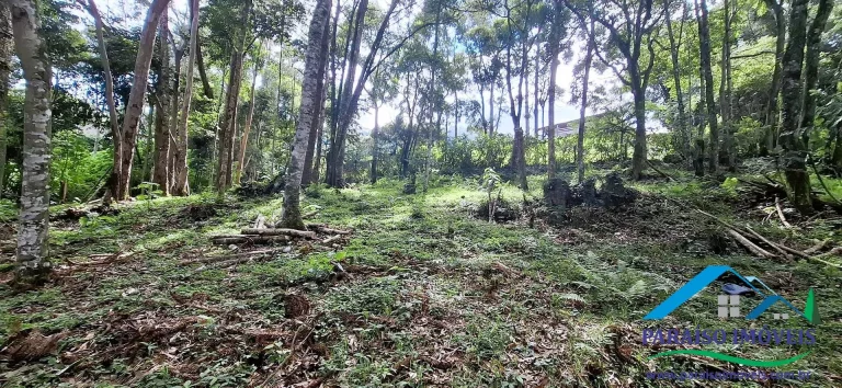 Imagem Mergulhe na Serenidade da Serra da Mantiqueira: Terreno com Cachoeira