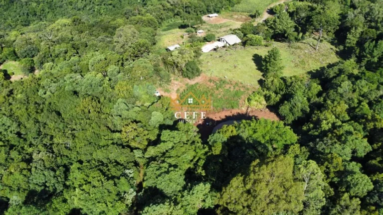 Imagem Chácara - Sítio com 3 Dormitorio(s) localizado(a) no bairro Linha Ávila em Gramado / RIO GRANDE DO SUL Ref.:1445