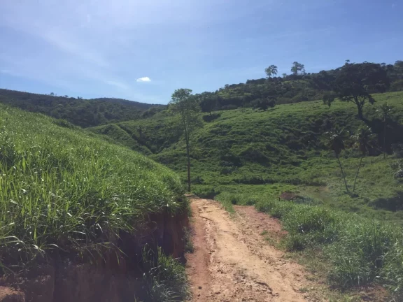 Imagem FAZENDA RURAL em COLATINA - ES, ÁREA RURAL DE COLATINA