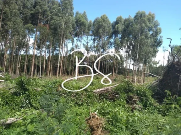 Imagem SITIO RURAL em IGREJINHA - RS, Serra Grande