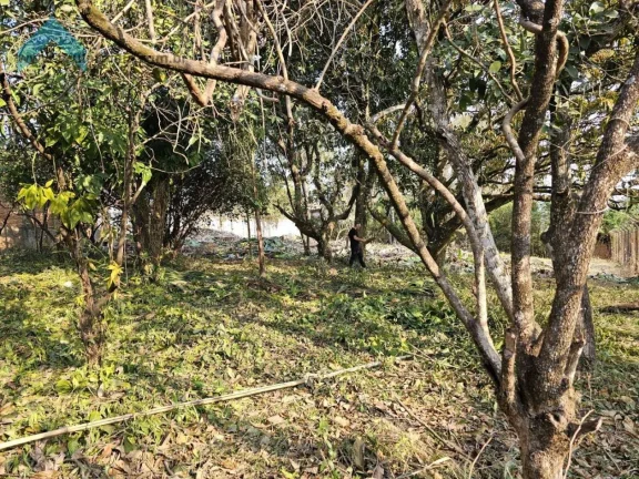 Imagem Terreno 1000m² Jardim Estância Brasil Atibaia