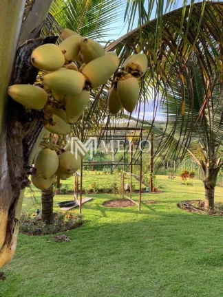 Imagem Linda chácara na area rual de Sairé ! Mobiliado!..
