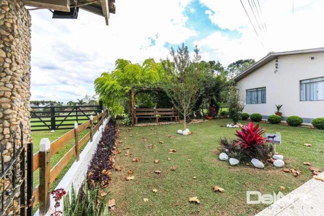 Imagem Sitio maravilhoso com 10,51 hectares - a 200m do Mercado 4 irmãos - Fazendinha - c/ Escritura e Registro - Rio Negro.