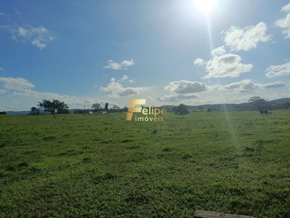 Imagem MARAVILHOSA FAZENDA PARA PLANTIO DE CAFÉ.