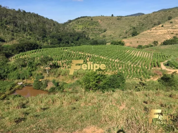 Imagem FAZENDA EM COLATINA (28KM DO CENTRO) / UM IMPERDÍVEL NEGÓCIO!