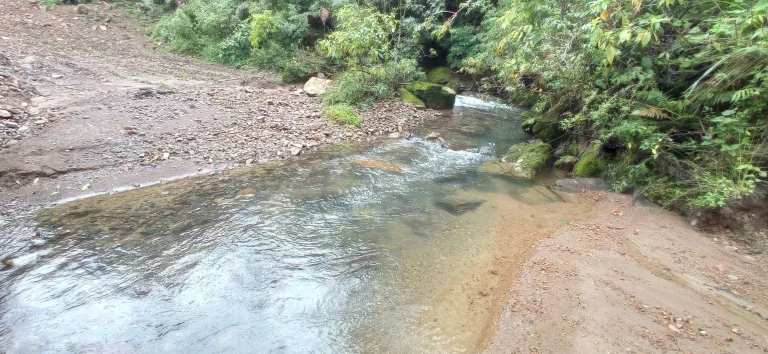 Imagem Área rural à venda em Santa Rosa de Lima/SC