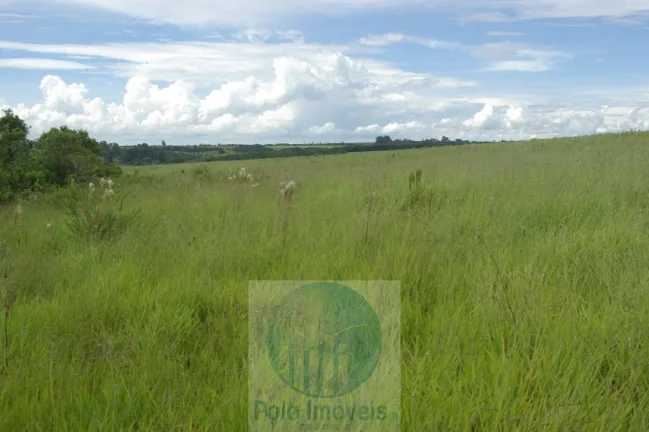 Imagem Fazenda em Cajuru 72 alqueires com soja, gado, braquiária e estrutura, 75 km de Ribeirão Preto - SP