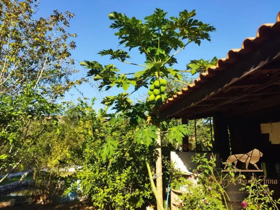 Imagem Oportunidade de um lindo Sitio estilo rústico em Taubaté - SP