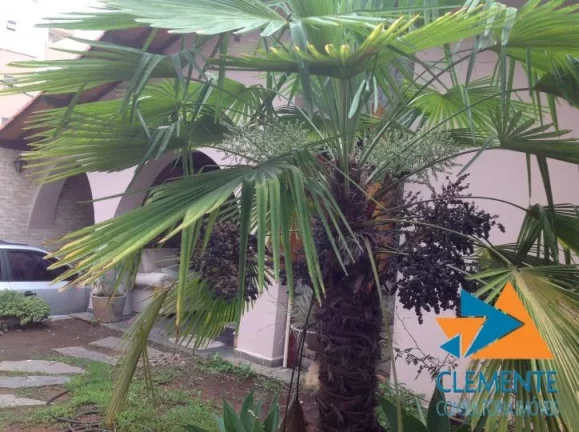 Imagem CASA 02 MORADIAS)RESIDENCIAL OU COMERCIAL B. OURO PRETO BH.