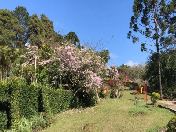 Imagem SITIO RURAL em Igaratá - SP, Parathey do meio