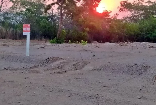 Imagem Lotes Parcelados Na Promissória Nova Vista Caldas Novas