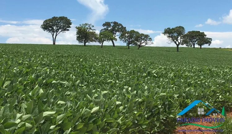 Imagem Fazenda Espetacular às Margens da Represa de Furnas - Oportunidade Única!