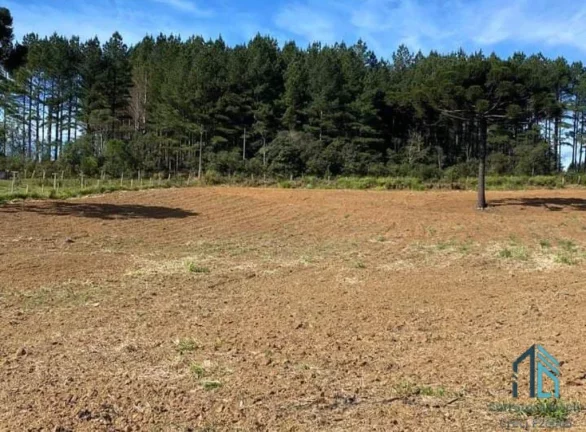 Imagem Chácara a venda, com 02 excelente Barracões novos, em Mandirituba/Tijucas do Sul PR