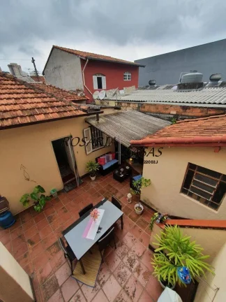 Imagem TERREA - SANTO AMARO