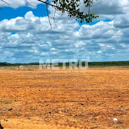 Imagem Fazenda produzindo à venda com 210 hectares, margem do Rio São Francisco- PE