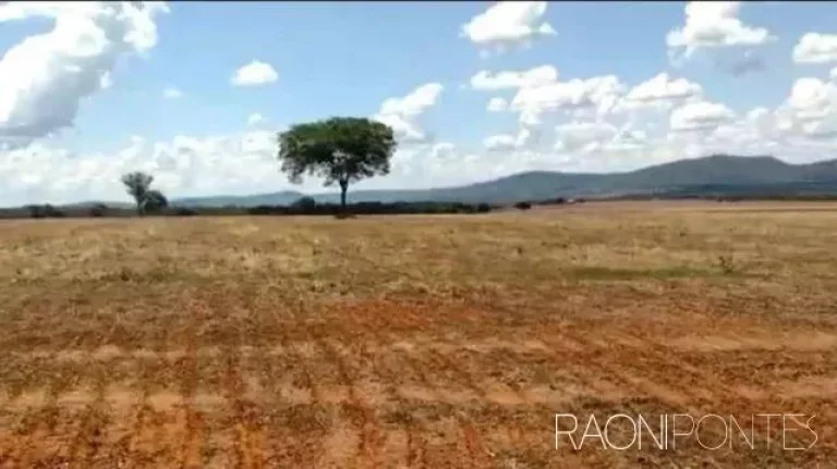 Imagem Fazenda à Venda, 5.620.000 m² em Zona Rural - Jaraguá