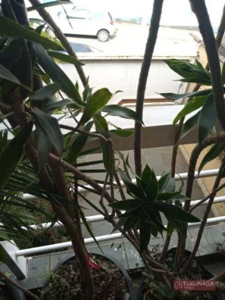 Imagem Sobrado à venda, 135 m² por R$ 700.000,00 - Vila Augusta - Guarulhos/SP