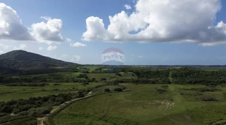 Imagem Fazenda à Venda, 1.449.875 m² em Zona Rural - Anchieta