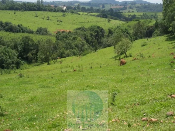 Imagem FAZENDA 169 HA, 1051 M ALTITUDE PARA CAFÉ, JACUÍ - MG