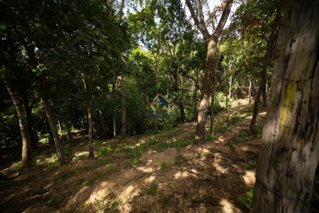 Imagem Sítio à venda na Guia - Cuiabá/MT | 82 hectares com nascente, açudes e estrutura completa