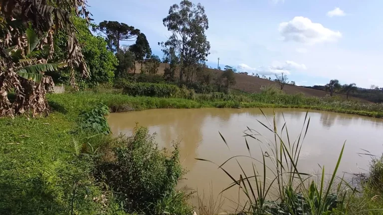 Imagem Chácara para Venda em Quitandinha, Zona Rural
