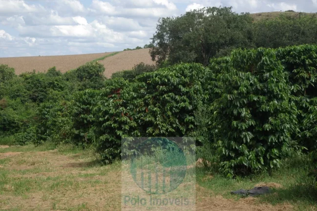 Imagem Fazenda com 140.000 pés de café produzindo, a 20 km de Jacuí Minas Gerais, casa de caseiro, energia e água.