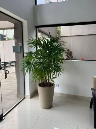 Imagem Sala, 34 m² - venda por R$ 320.000,00 ou aluguel por R$ 2.200,00/mês - Vila Assunção - Santo André/SP