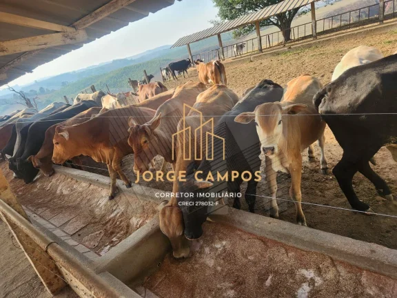 Imagem FA-24163 - FAZENDA À VENDA EM MINDURI/MG