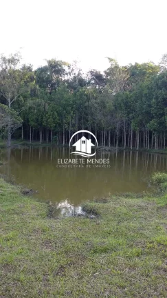 Imagem Sítio à venda, PARIQUERA ACU, PARIQUERA-ACU - SP Sítio localizado em pariquera A