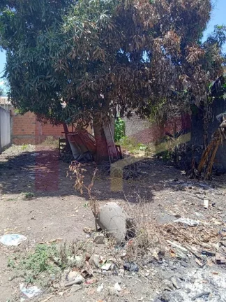 Imagem Terreno no Papagaio