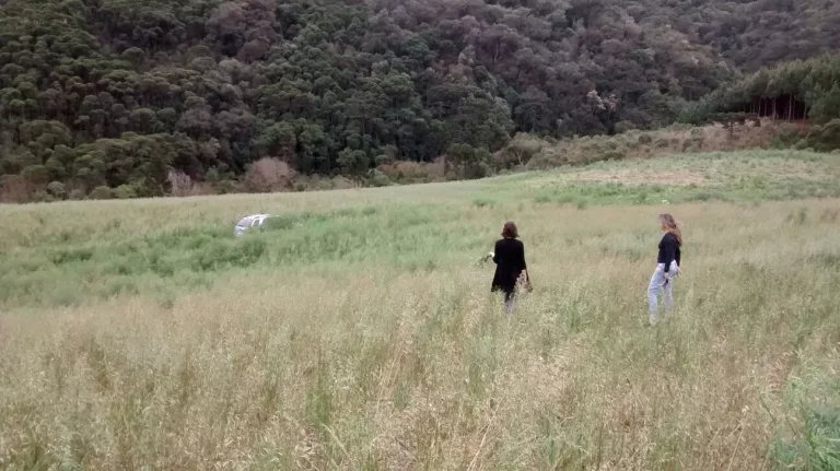 Imagem Terreno na Serra Catarinense: 128.494m² em Bom Retiro-SC, Escritura Pública, Imperdível!