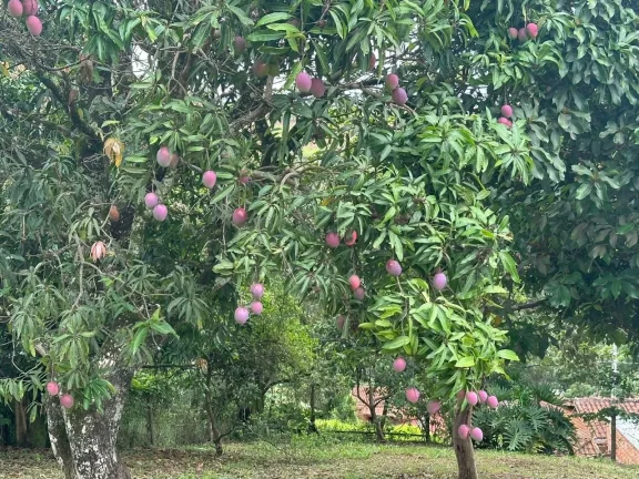 Imagem EXCELENTE TERRENO 1.100 m² PARA VENDA NO VIVENDA - JUNDIAÍ SP