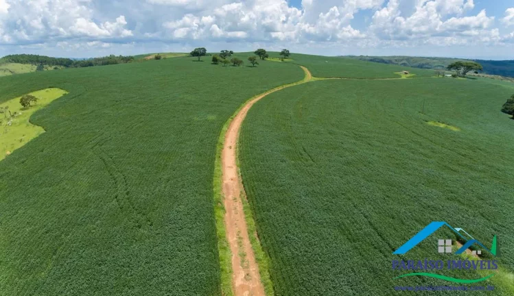 Imagem Fazenda Espetacular às Margens da Represa de Furnas - Oportunidade Única!