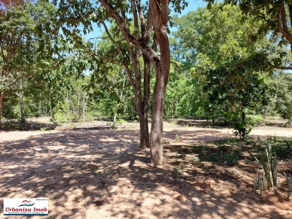 Imagem Chácara Santa Maria no Asfalto com 21.000 m2 em Campo Grande MS | Próximo ao Aeroporto Santa Maria com Casa Sede e Casa de Caseiro