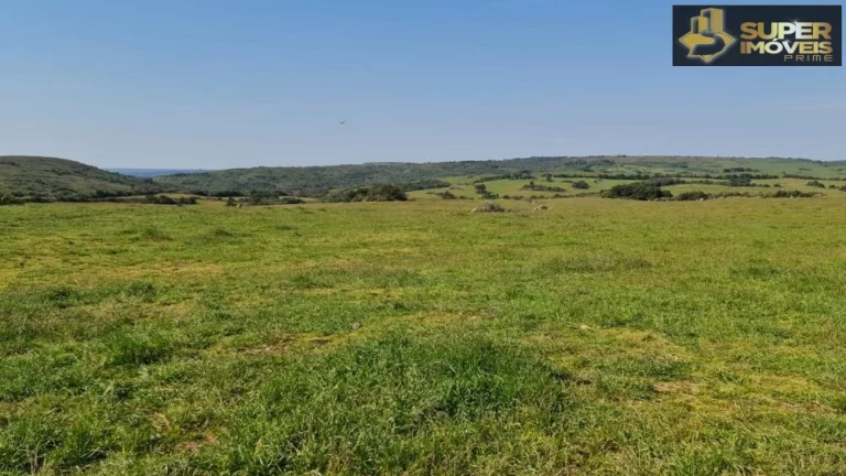 Imagem Fazenda Mista em Pedras Altas-RS