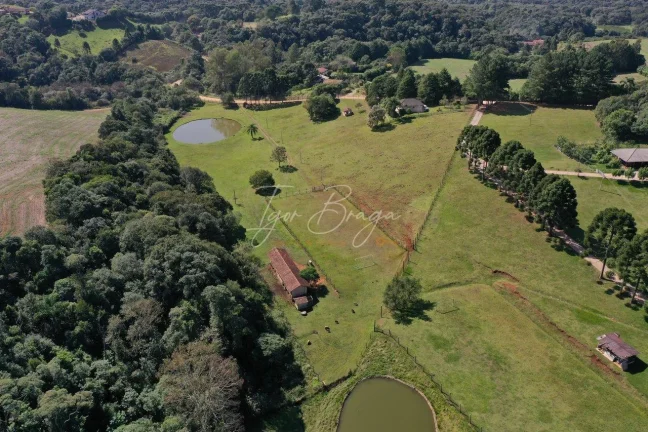 Imagem Chácara em Campo Largo com lago a venda