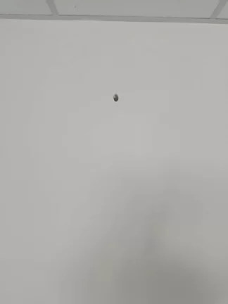 Imagem locação sala comercial no centro de Macaé RJ. 130M2 primeira locação