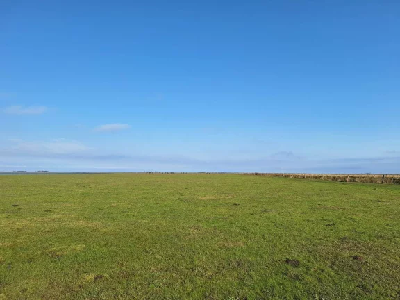 Imagem Excelente Área de 130 Hectares para Cultivo de Arroz – Viamão/RS