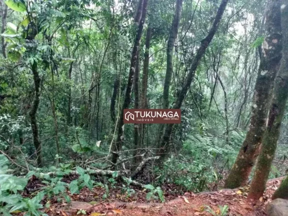 Imagem Terreno à venda, 2035 m² por R$ 135.000,00 - Boa Vista - Mairiporã/SP