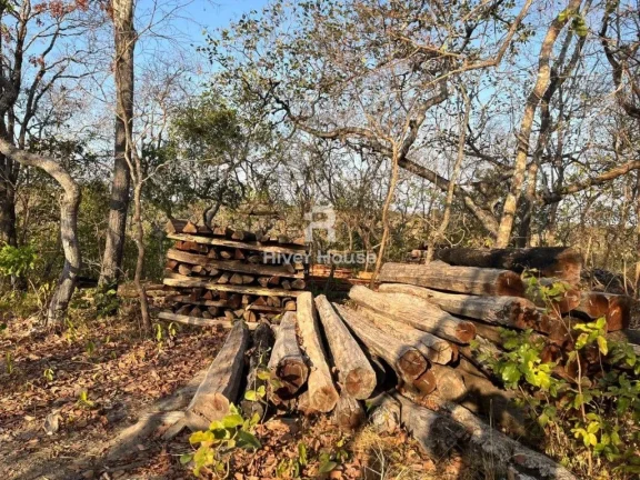 Imagem Fazenda à venda sendo 234 Hectares para Pecuaria , na Região Faval, Nossa Senhora do Livramento, MT