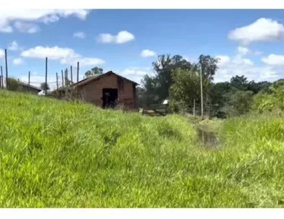 Imagem Sítio a VENDA, BAURU/SP, 05 alqueires